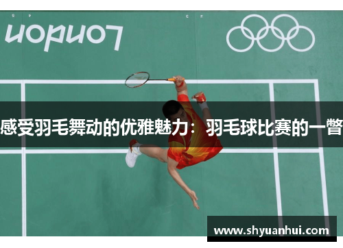 感受羽毛舞动的优雅魅力：羽毛球比赛的一瞥