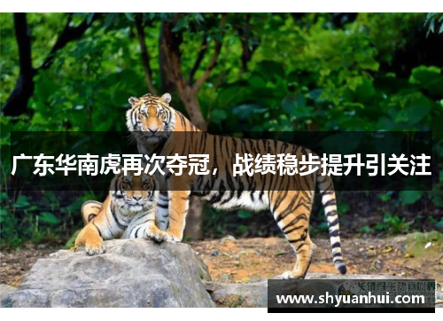 广东华南虎再次夺冠，战绩稳步提升引关注