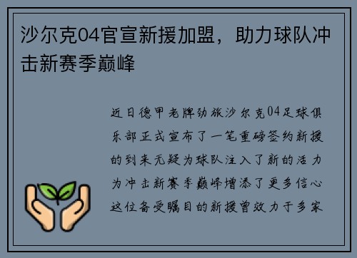 沙尔克04官宣新援加盟，助力球队冲击新赛季巅峰